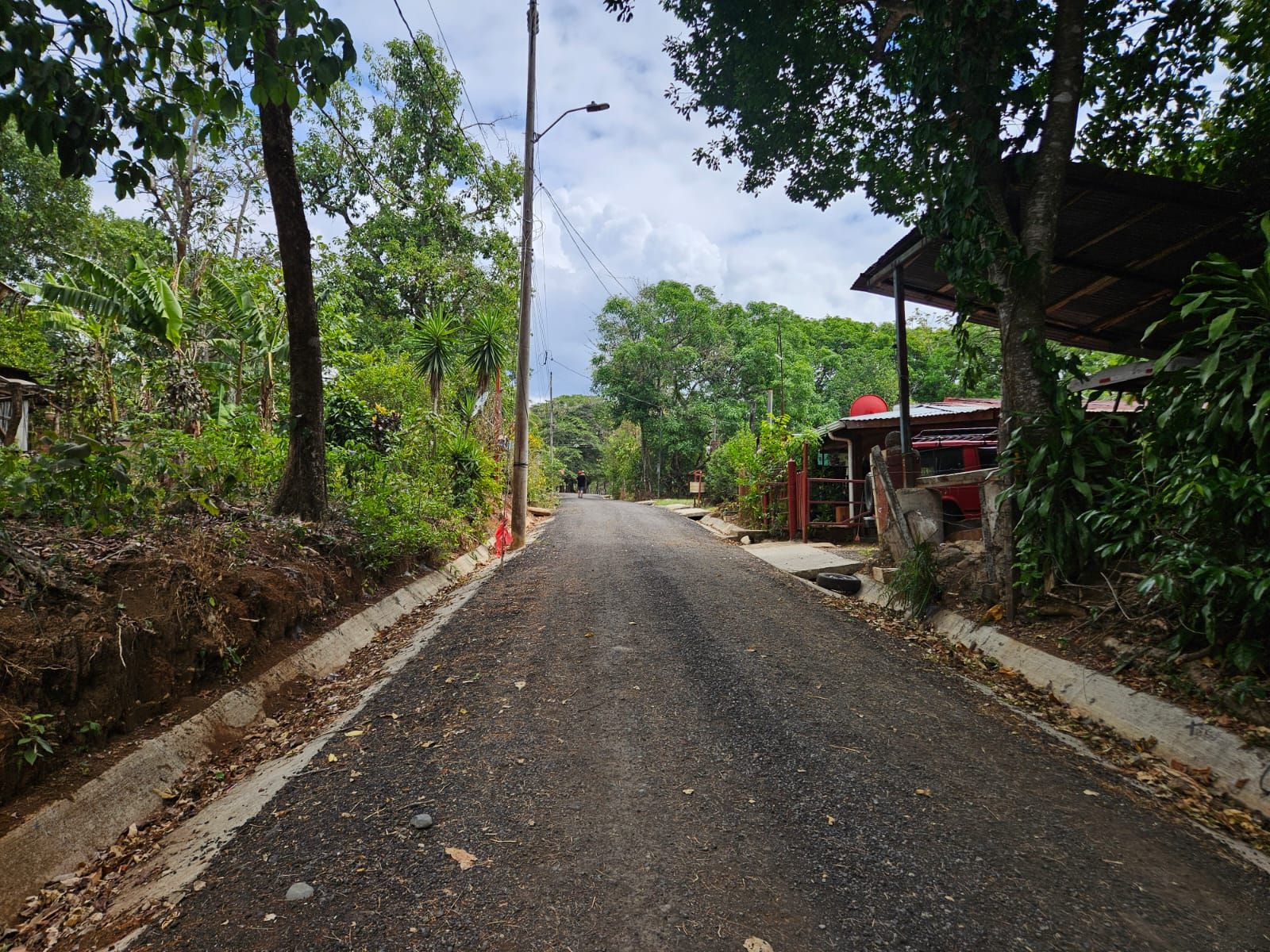Bosques de Turrubares