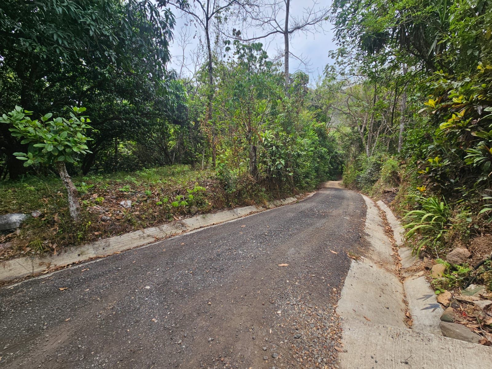 Bosques de Turrubares vista 3