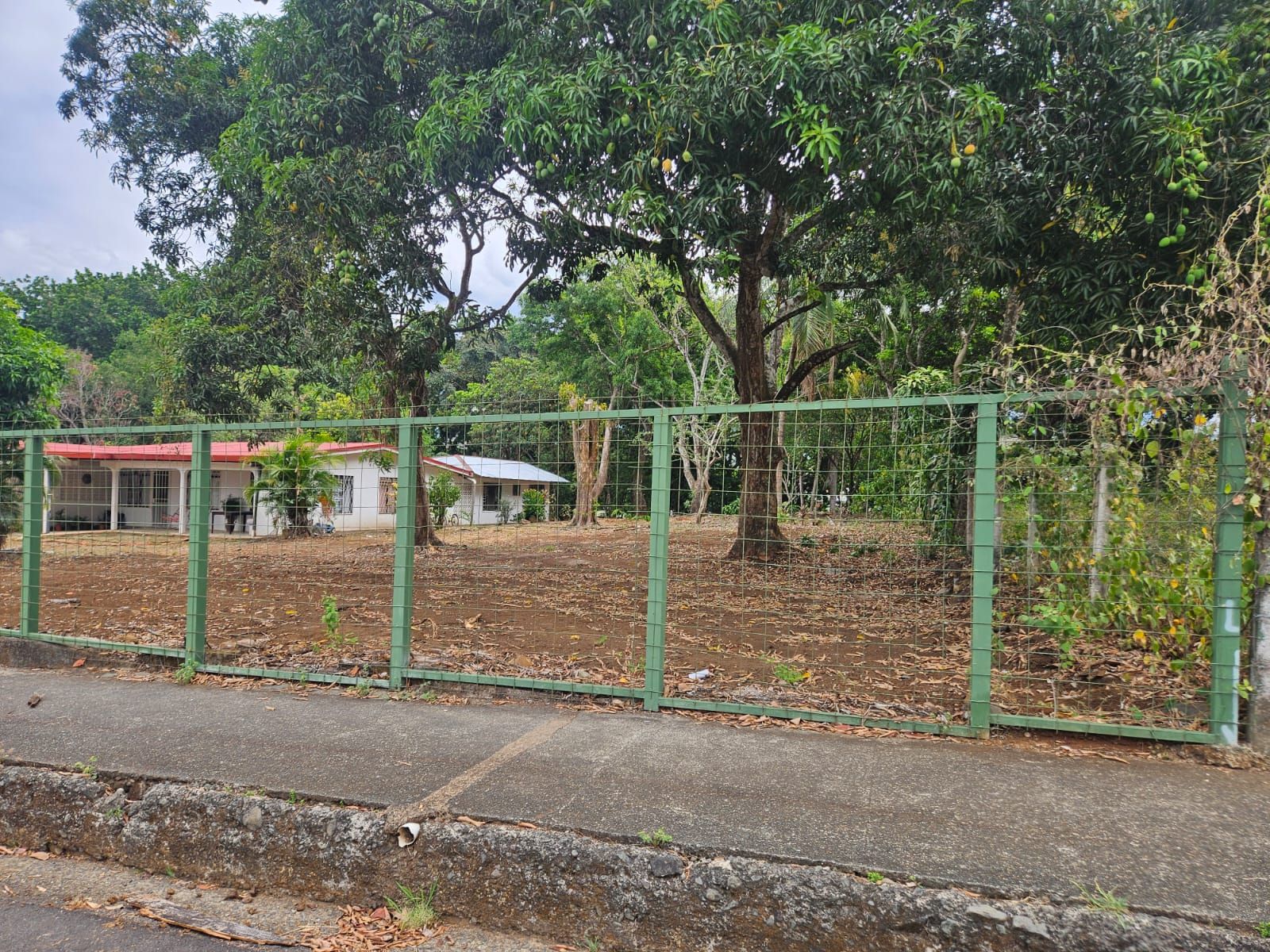 Vista de Turrubares
