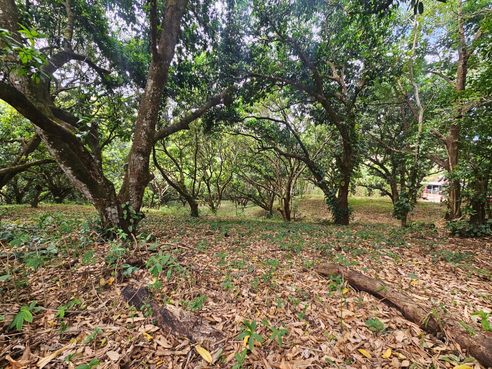 Refugio del Rio vista 5