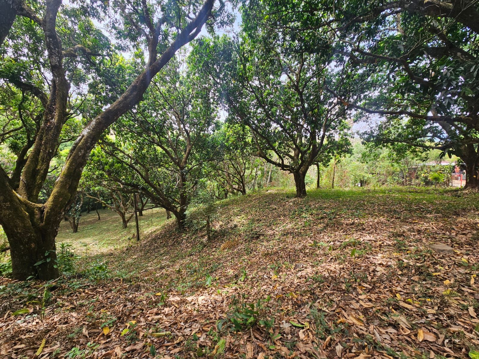 Senderos de San Pablo vista 17