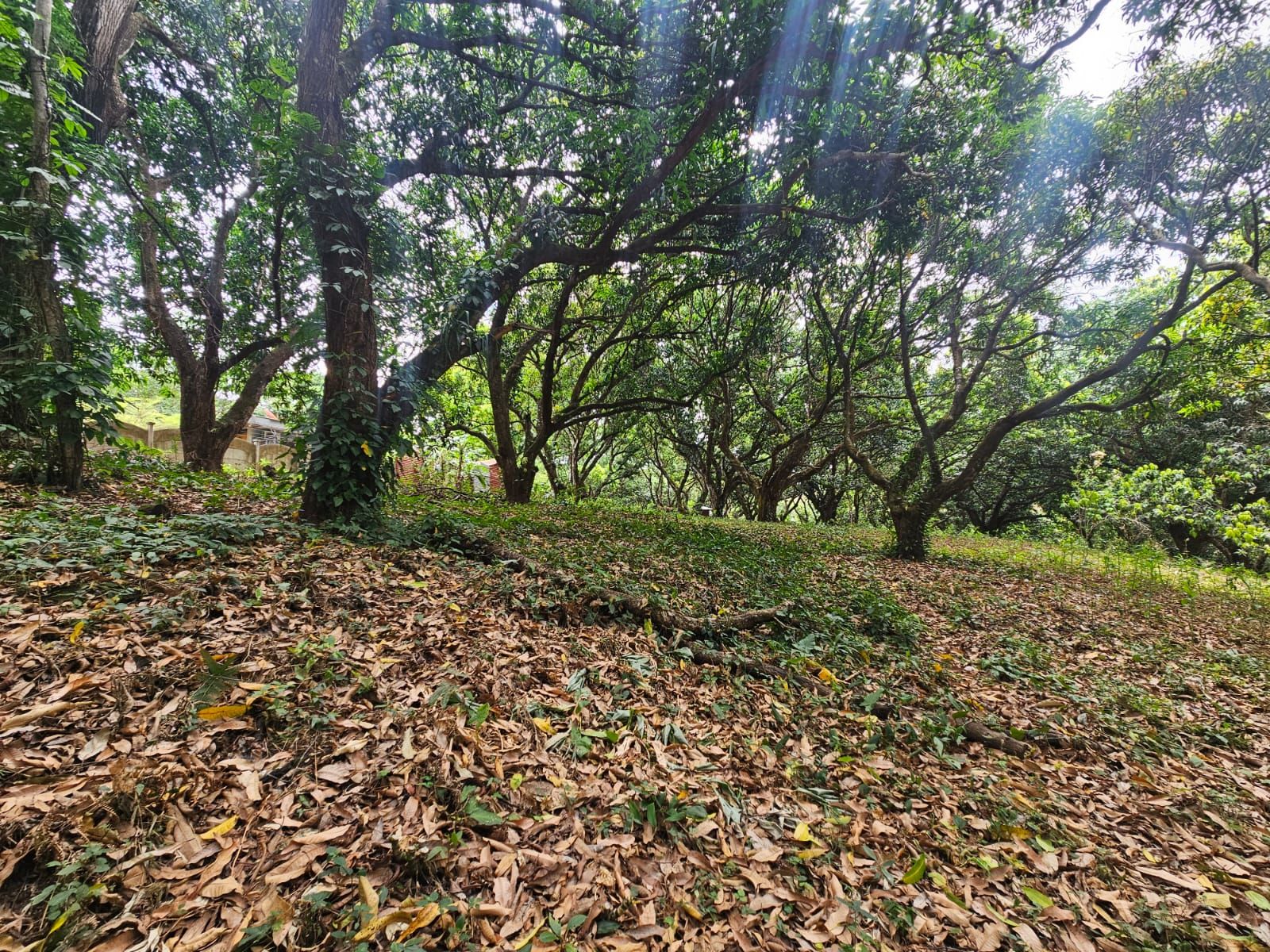 Senderos de San Pablo vista 21